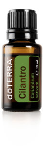 cilantro-15ml